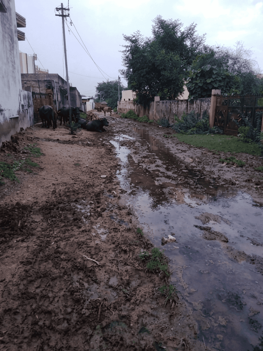 Rural India