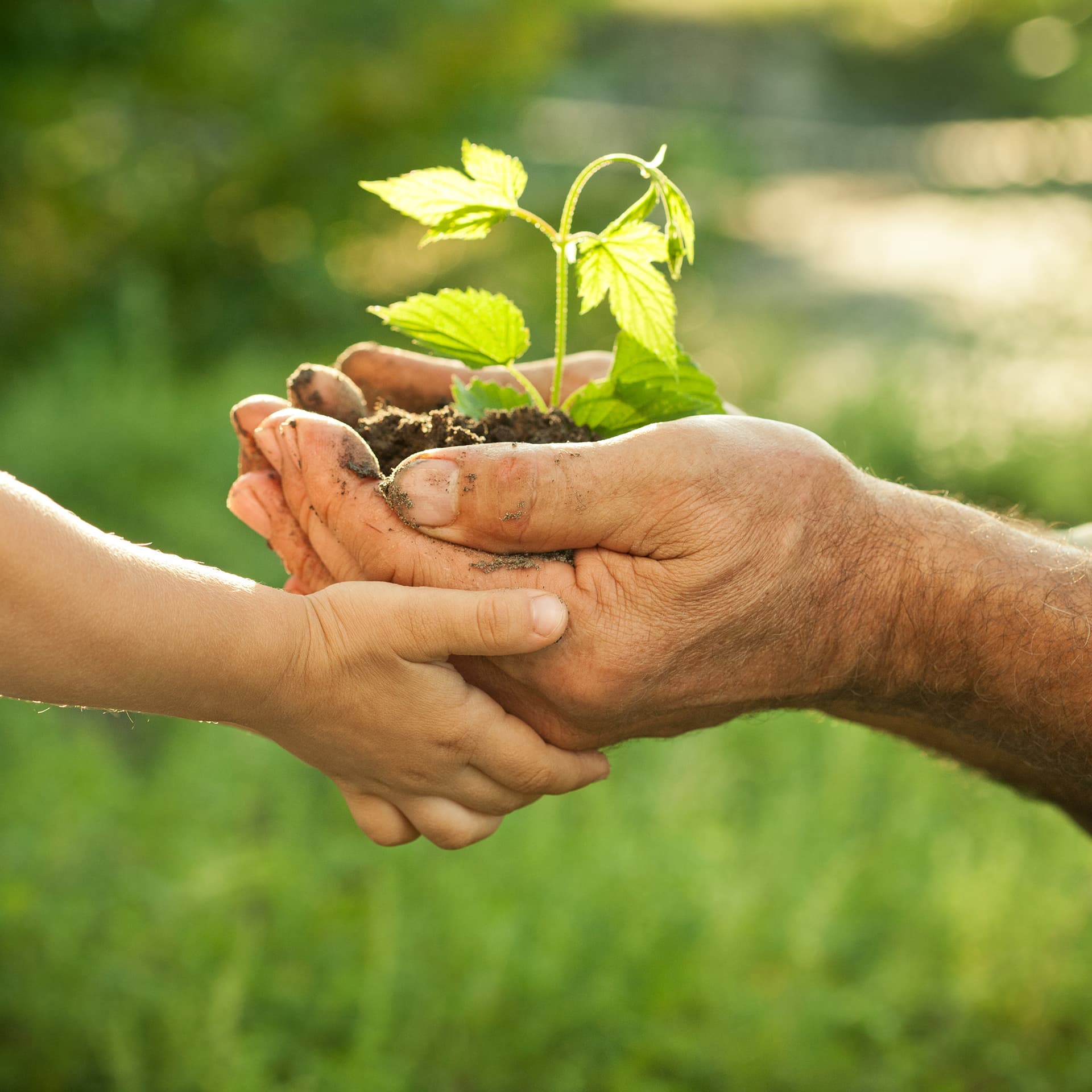 Why Adopt a Constituency as a CSR Model?